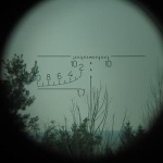 Reticle