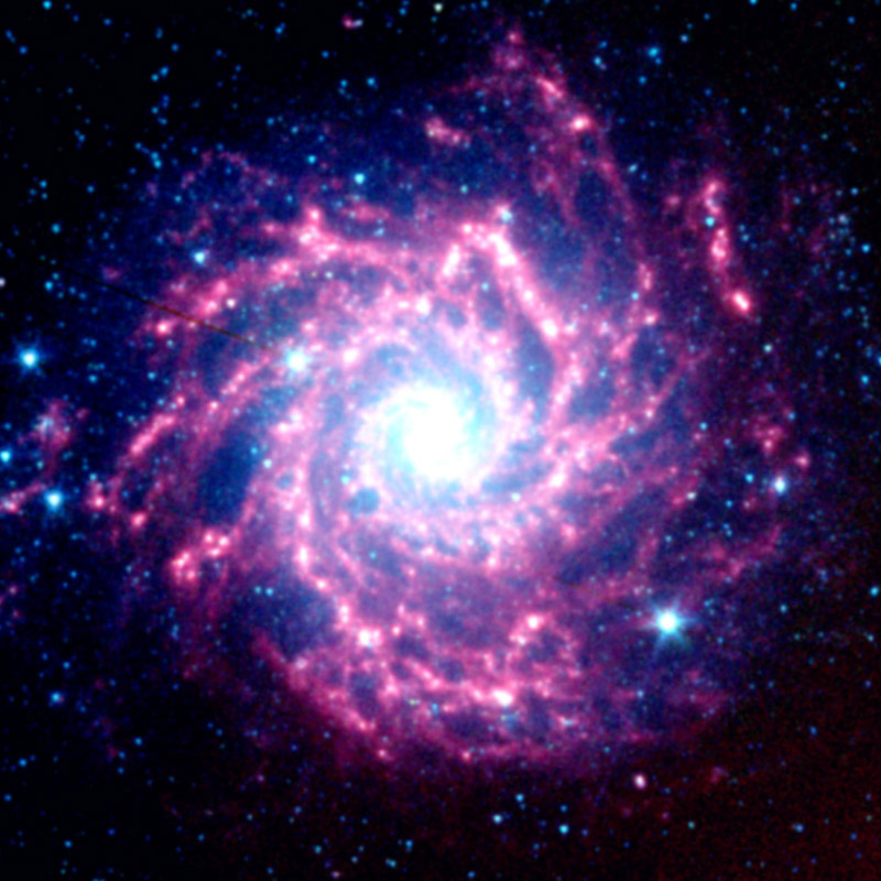 astronomer who coined the term nova