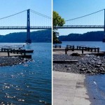 Tides