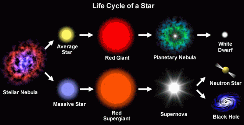 http://planetfacts.org/wp-content/uploads/2011/04/Life-Cycle-of-a-Star.gif