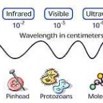 Radio Waves