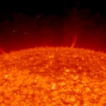 Solar Spicules