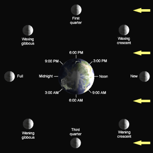 Lunar Phase Diagram - Planet Facts