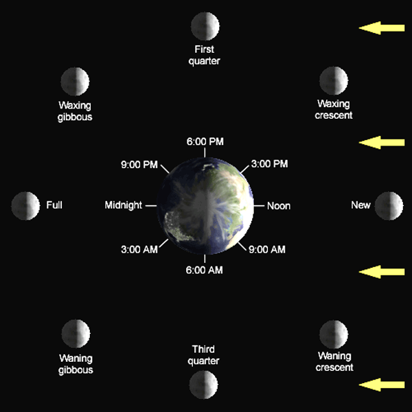 Phases of the Moon - Lunar Cycle Diagram, Shapes, Pictures & Names