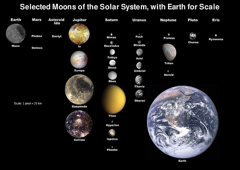 Who Discovered the Kuiper Belt, Kuiper Belt and Oort Cloud, Trans-Neptunian Objects